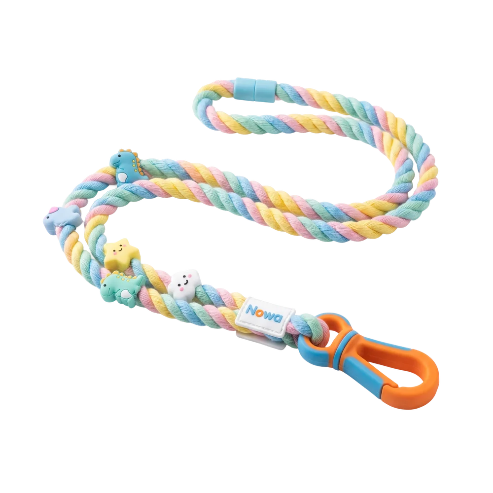 Rainbow lanyard with dino, star, and cloud charms