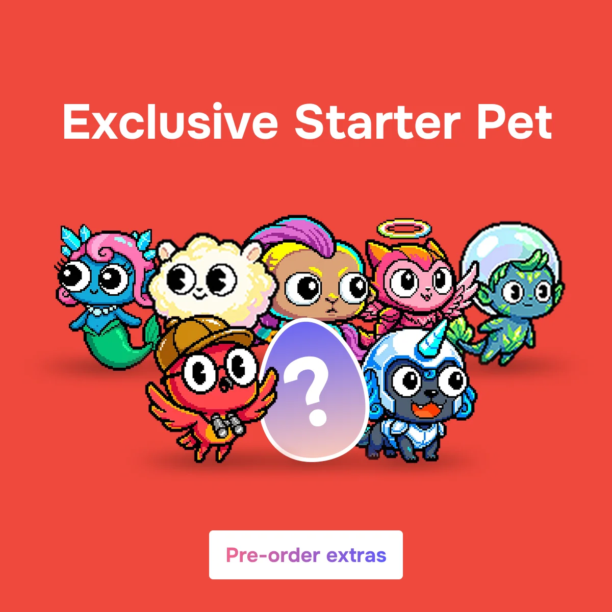 Exclusive starter pet: a mystery egg among the Nowa species, a pre-order extra